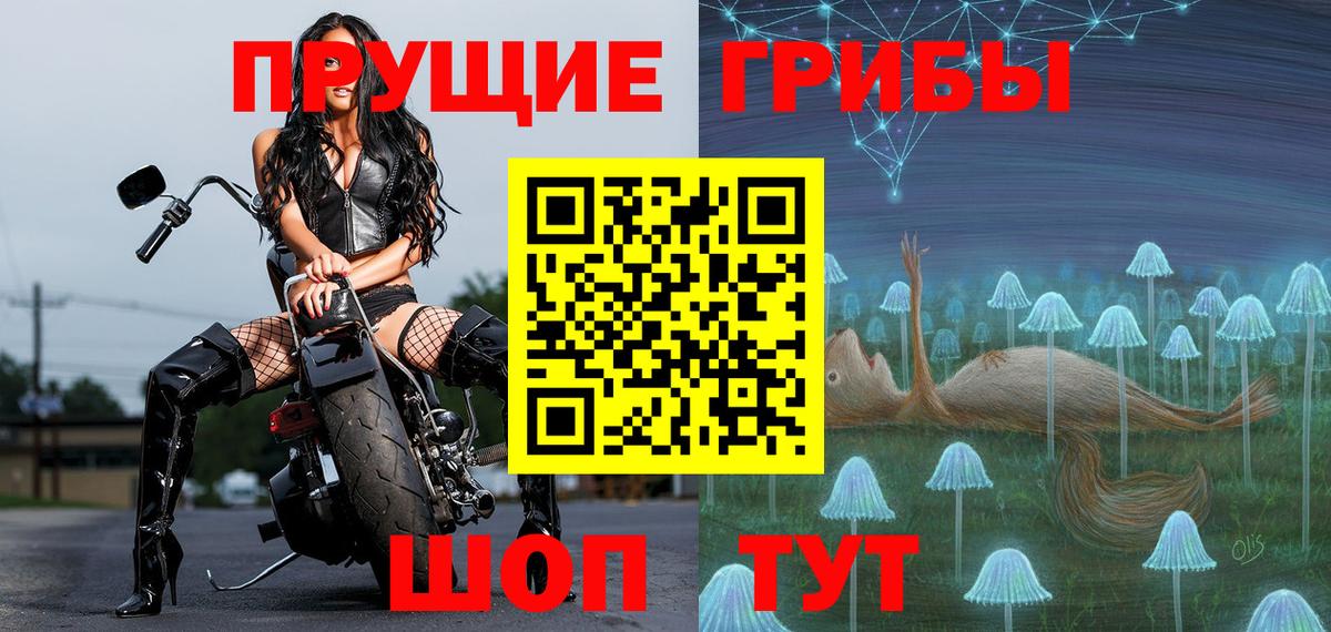 Черкесск  Галлюциногенные грибы ЛСД  Вход с VPN  Псилоцибиновые грибы Psilocybe 