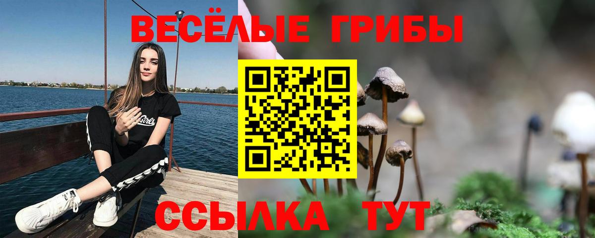 Галлюциногенные грибы мухоморы Черкесск